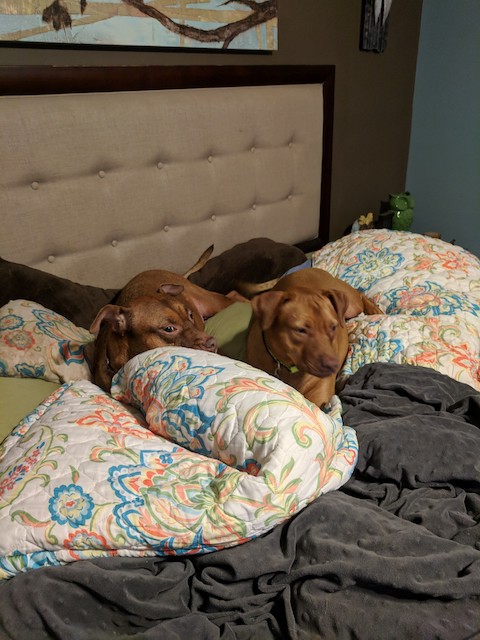 Stella and Sansa
