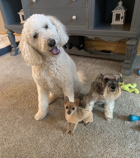 Annie, Jamison & Roni