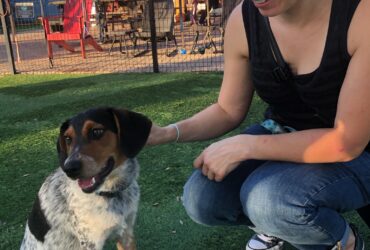 Jessica & Blue at Brewhound