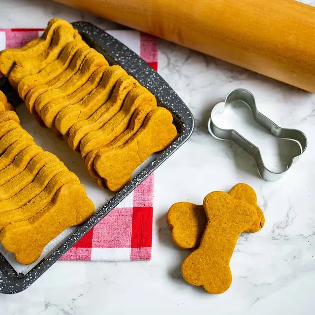 Pumpkin & Peanut Butter Bites