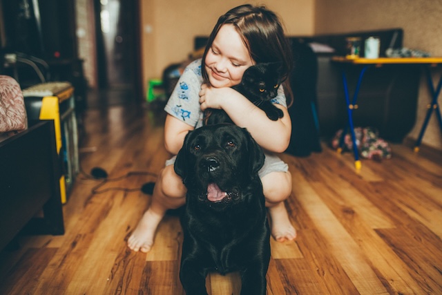 Child hugging dog and cat