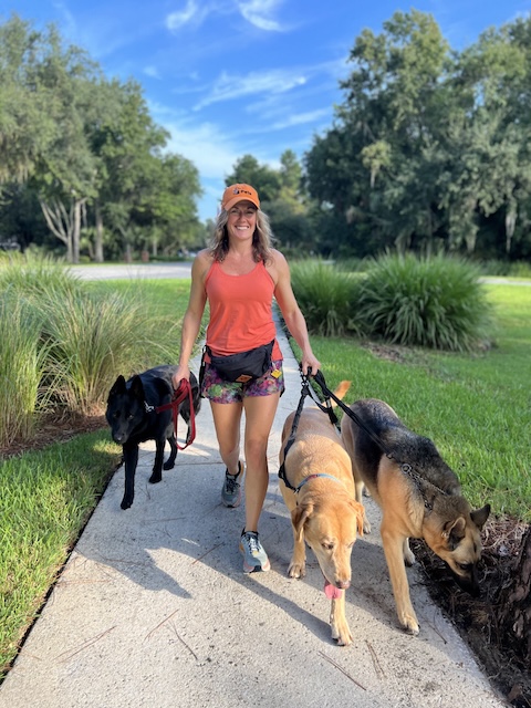 9 to 5 Pets Mid-Day Dog Walk